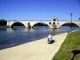 Sur le pont d'Avignon...